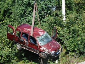 Yola çıkan köpek kazaya neden oldu