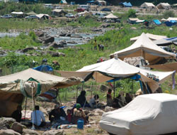 Fındık işçileri Ordu'ya geldi