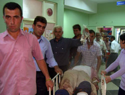 Kestiği ağaç üstüne düşünce hatanelik oldu