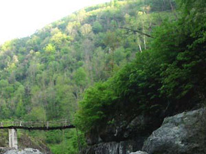 Ordu toprağı erezyona dayanıksız