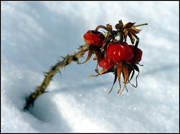 LÜTFEN OKUYUN VİJDANINIZ VARSA