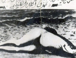 Denizkızı gerçek mi?