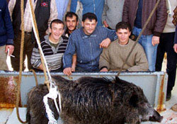 Domuz cezası AİHM'lik oldu