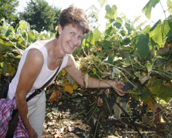 Avusturyal çiftçiler Giresun'da