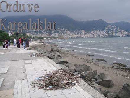 Kargalaklar ve Ordu