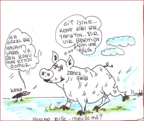 SAKIN KATILMAYIN SAYIN TORUN