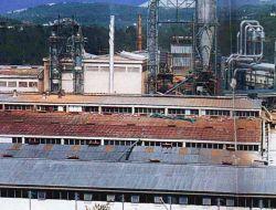 Çamsan Hisseleri Satıldı