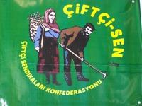 GDO GENETİĞİ DEĞİŞTİRİLMİŞ ORGANİZMALAR