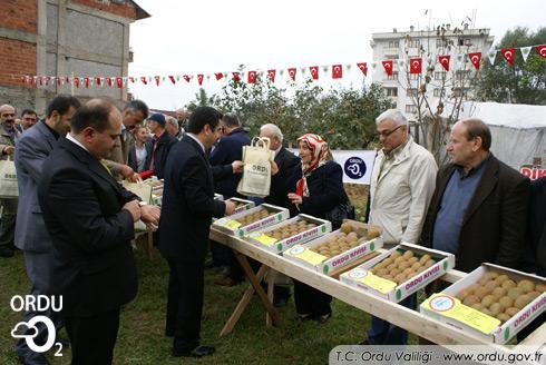 Vali Düzgün'ün 2011 Performansı