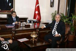 TIP'a doğru adım, adım...