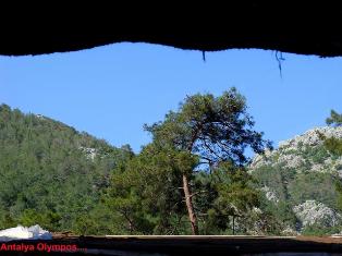 Onur Akata: Gören Fotoğraflar2