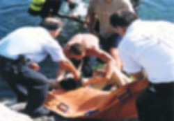 Temizlik yaparken camdan düştü