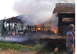 Hayvanlar yanarak telef oldu