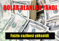 Dolar alanlar yandı