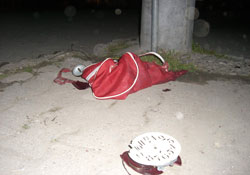 Ordu da bomba paniği