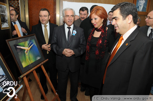 Vergicilerden Sanat Şöleni