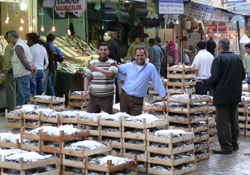 Akdeniz hamsisi 2,5 YTL