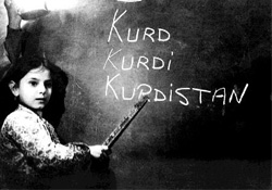 KORSİKALI, BASKLI HANGİ DİLLE SAVUNMA YAPIYOR