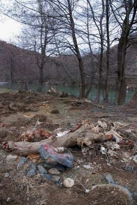 Derelere Özgürlük Kararı