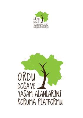 Pes Yani, Şimdide Kaçak HES