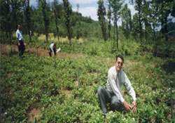 Tarımsal projelere destekleme
