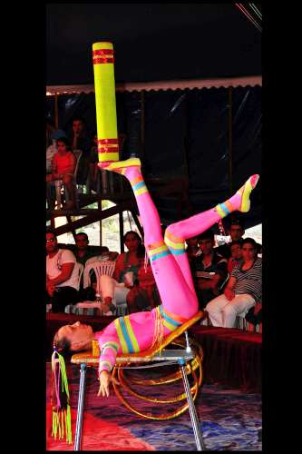 Uluslararası  Safari Sirki Orduda