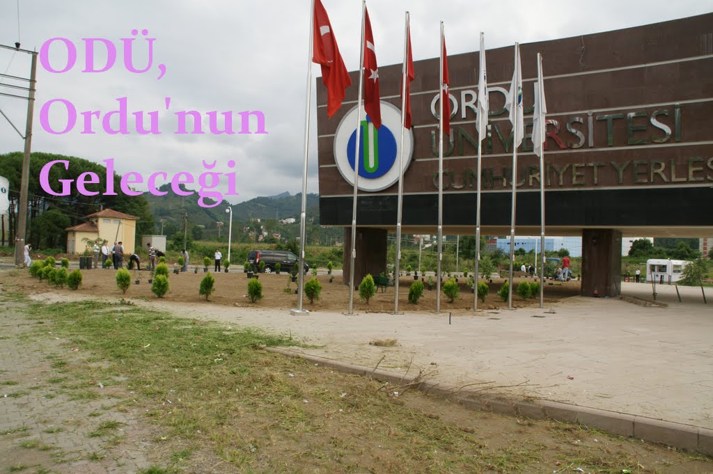 ODÜ Dahada Güzel ve Modern