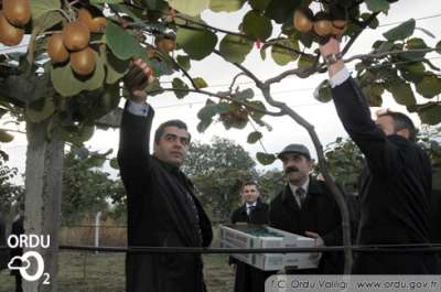 5inci Kivi Şenliği Yapıldı