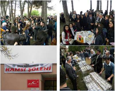 Ünye'de ODÜlüler Hamsiye Doydu