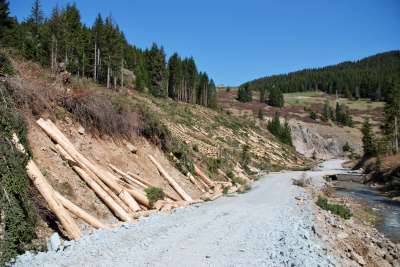 Tık Yok;Çambaşında Ağaç Katliamı!?