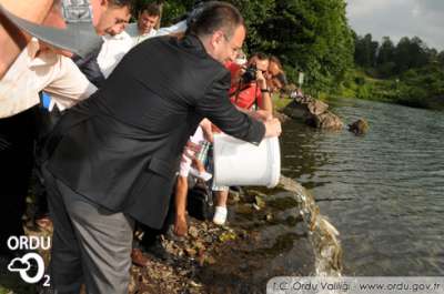 Ulugöle Yol Yapılıp Balık Atıldı