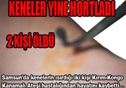 Kenenin ısırdığı iki kişi öldü!