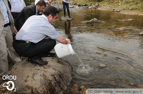 Derelere Beşbin Alabalık Salındı