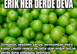 Eriğin faydası saymakla bitmiyor
