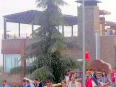 ÇİRKİNLEŞEN ORDU