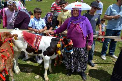 Çambaşına Tatil Köyü ve Otel Tahsisi