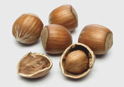 TMO'da 91 bin 442 ton fındık aldı