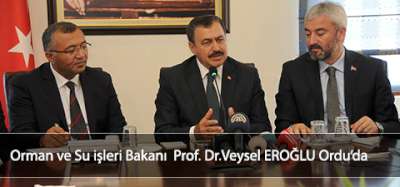 Eroğlu;Köprülere Ferforje Yapılacak