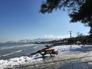 Kamuda Dahil İşgalcileri Yıkacağız