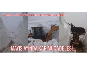 MAYIST A KAR MÜCADELESİ