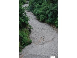 DARICA I HES MELET'İ KURUTUYOR