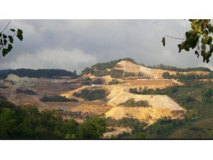 Yeşili Koru, 6 Ay Dinlen!!!