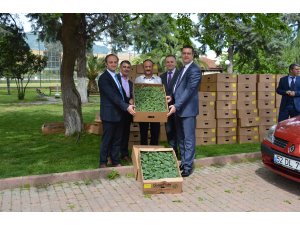 ÇİFTÇİ DESTEKLEMELERİ DEVAM EDİYOR