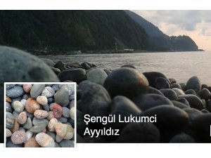 Çocuk var eğitirsin Öğrenci var yok edersin