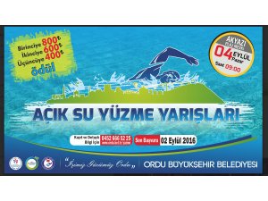 Haydi, Yüzerek Yarışmaya