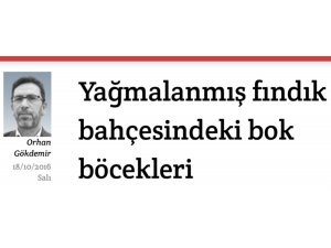 Fındık bahçesindeki bok böcekleri
