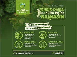 Ordu Büyükşehir Belediyesi "Fındık Dalda Aklın İşçide Kalmasın"