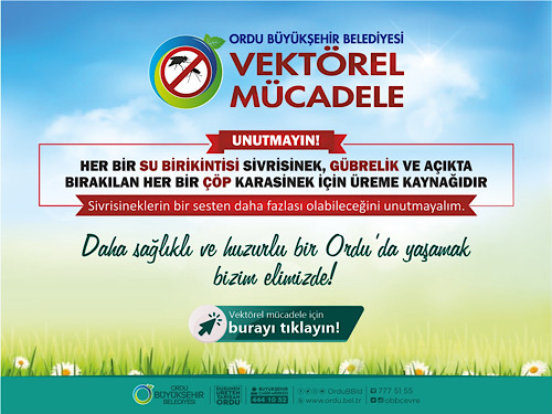 VEKTÖRLE MÜCADELEDE VATANDAŞLARA DA BÜYÜK PAY DÜŞÜYOR