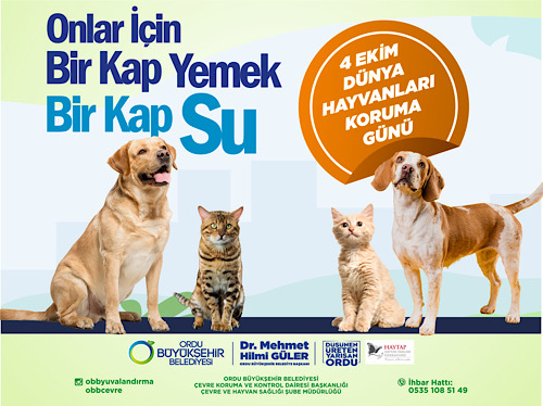 Onlar için bir kap su bir kap yemek