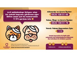 Acil Müdahele ihtiyacı olan Sokak Hayvanı görürseniz 7/24 Arayın...